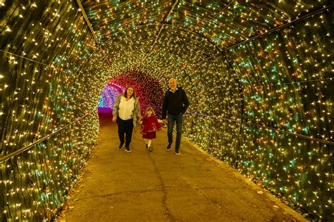 Garden of Lights.